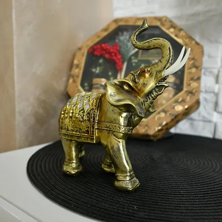 Mario King 61 즐라티보