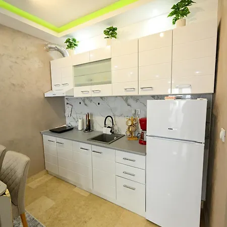 Mario King 61 즐라티보