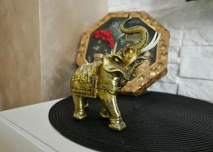 Mario King 61 זלאטיבור